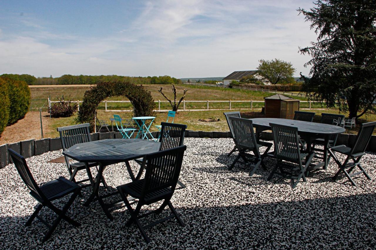 La Veuzaine Bed and Breakfast Onzain Exteriör bild